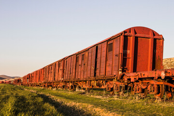 Obraz premium Old abandoned rusty train in the field. Picture made in Algeria.