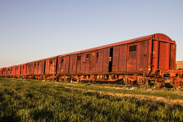 Old abandoned rusty train in the field. Picture made in Algeria.