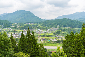 熊野古道　熊野参詣道