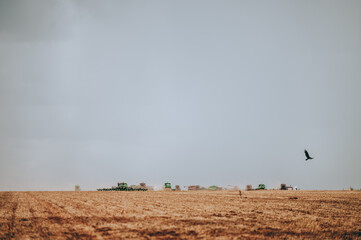 tractors at a soybean plantation on a clouded sky