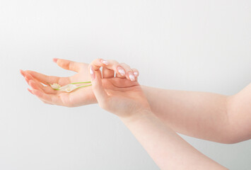 female hands with beautiful long nails with  flowers on white background