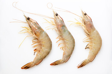 Fresh banana shrimp (Penaeus merguiensis) isolated on white background.