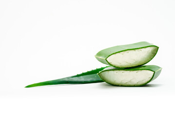 ORGANIC / NATURAL Aloe vera slice on white background,  with copy space. (Aloe barbadensis Mill.,Star cactus, Aloe, Aloin, Jafferabad or Barbados) a very useful herbal medicine for skin  and hair care
