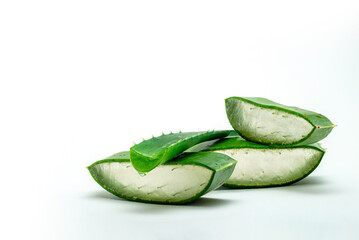 ORGANIC / NATURAL Aloe vera slice on white background,  with copy space. (Aloe barbadensis Mill.,Star cactus, Aloe, Aloin, Jafferabad or Barbados) a very useful herbal medicine for skin  and hair care