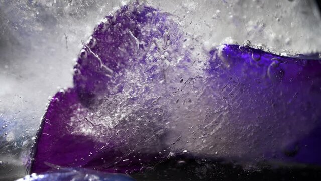 Beautiful frozen flowers with colorful violet petals encased in ice block. Abstract, icy and cold background with contrast of light and shadow. Cocktail garnish. 4K.