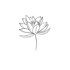 Water Lily simple line drawing 