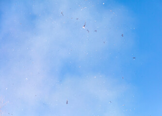 Smoke with ashes from a fire against a sky.
