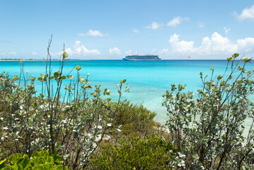 Fototapeta na wymiar Half Moon Cay Island Greenery And A Cruise Ship