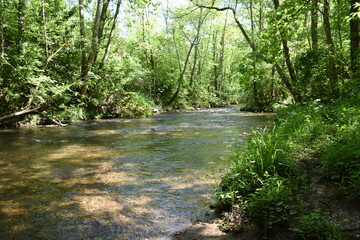 Fototapeta premium Río Fuensanta-Nava-Asturias.