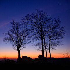 Obraz na płótnie Canvas Stars Fading Into the Approaching Sunrise at the Hazel Mountain Overlook