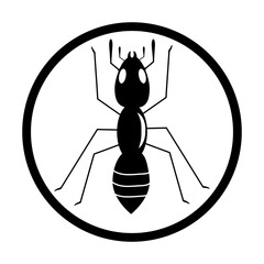Ant vector illustration design