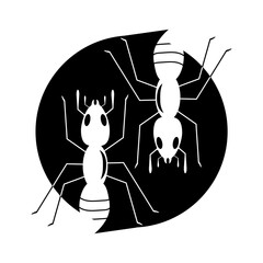 Ant vector illustration design
