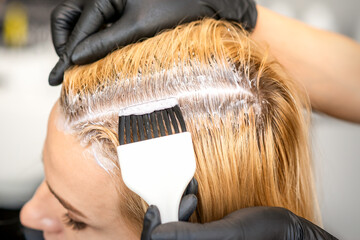 The hairdresser is dyeing blonde hair roots with a brush for a young woman in a hair salon