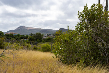 Curacaos table mountain viewed from the Jan Thiel Salt Flats