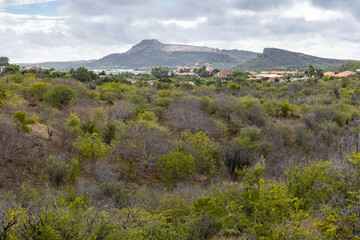 Curacaos table mountain viewed from the Jan Thiel Salt Flats