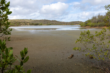 Entering the Jan Thiel Salt Flats from the surrounding forests on the Caribbean island Curacao