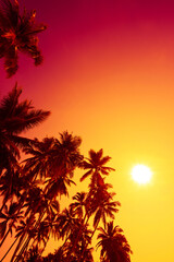 Tropical coconut palm trees on ocean beach at sunset with shining sun and clear sky