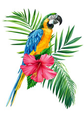 floral exotic watercolor illustration with macaw parrot, tropical leaves, hibiscus. Isolated on white background