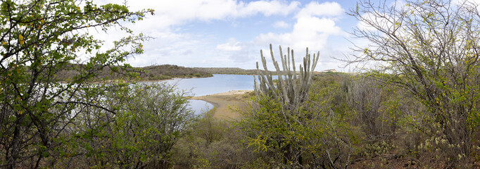 View from the forested and overgrown hills to the Jan Thiel Salt Flats on the Caribbean island...