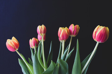 Bouquet of tulips