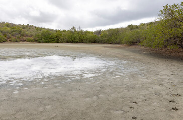 Accumulation of salt at the shores of the Jan Thiel salt flats on the Caribbean island Curacao