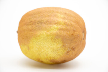 dry lemon isolated on white background