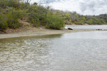 Walking around the shores of the Jan Thiel salt flats on the Caribbean island Curacao