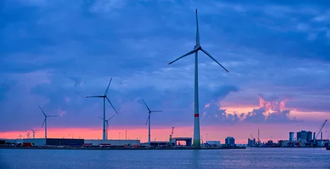 Foto op Plexiglas Panorama of wind turbines power electricity generators in Antwerp port in the evening. Antwerp, Belgium © Dmitry Rukhlenko