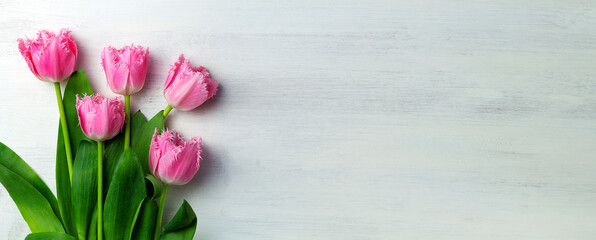 tulips banner. bouquet of pink tulips on the white background with copy space. mother's day. Flowers composition. Floral spring background. top view