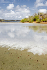 Walk along the salty shores of the Jan Thiel lagoon on the Caribbean island Curacao