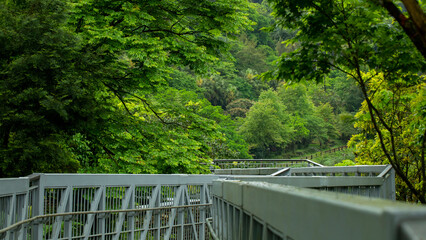 Fototapeta na wymiar Taiwan, New Taipei City, Shifenliao Waterfall, park, forest trail