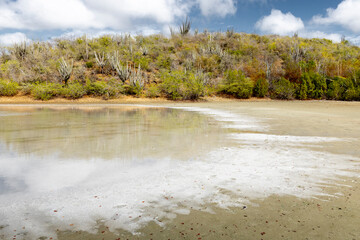 Walk along the salty shores of the Jan Thiel lagoon on the Caribbean island Curacao