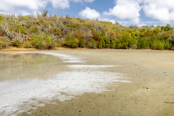 Walk along the salty shores of the Jan Thiel lagoon on the Caribbean island Curacao