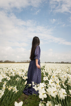 rear view of girl in classic blue dress standing in field of daffodil flowers in spring