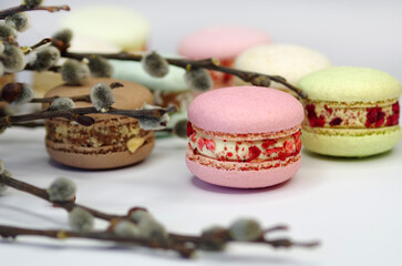 Multicolored bright macarons and pussy willow