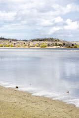 Walk along the salty shores of the Jan Thiel lagoon on the Caribbean island Curacao