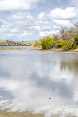 Walk along the salty shores of the Jan Thiel lagoon on the Caribbean island Curacao