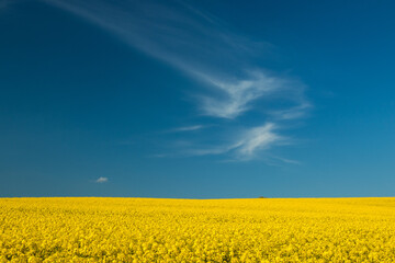 Obraz premium Blue sky