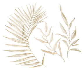 yellowed leaves on white background