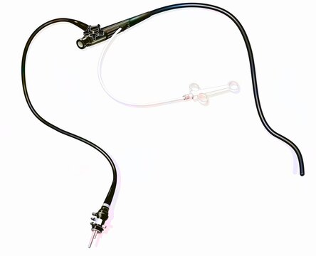 Gastroscope used in the medical examination of the stomach.