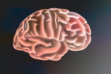 Drawing of a human brain and its different areas.