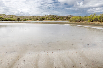 Walk along the salty shores of the Jan Thiel lagoon on the Caribbean island Curacao