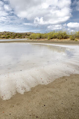 Walk along the salty shores of the Jan Thiel lagoon on the Caribbean island Curacao