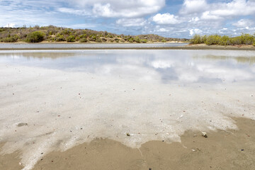 Walk along the salty shores of the Jan Thiel lagoon on the Caribbean island Curacao