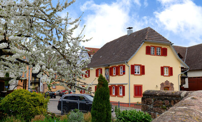 Ettenheim (Baden) Altstadtszene