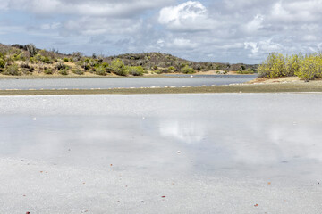 Jan Thiel salt flats on the Caribbean island Curacao