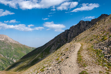 Fototapeta premium mountain road in the mountains