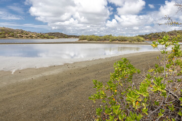 Walk along the salty shores of the Jan Thiel lagoon on the Caribbean island Curacao