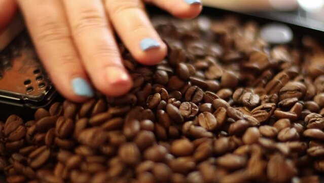 Adding roasted coffee beans to coffee maker container, close-up, selective focus