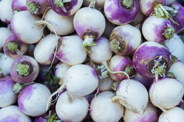 a bunch of white beets in a supermarket background place for 